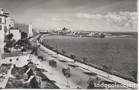 Postales: BALEARES ESCRITA PASEO MARITIMO PALMA