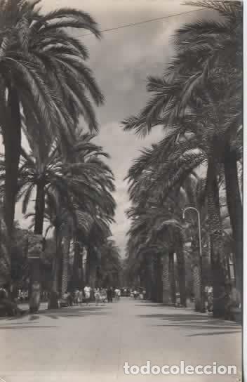 Postales: BALEARES ESCRITA PALMA PASEO DE SAGRERA