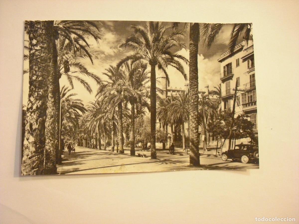 Postales: MALLORCA 2025. PASEO DE SAGRERA . CASA PLANAS, CIRCULADA
