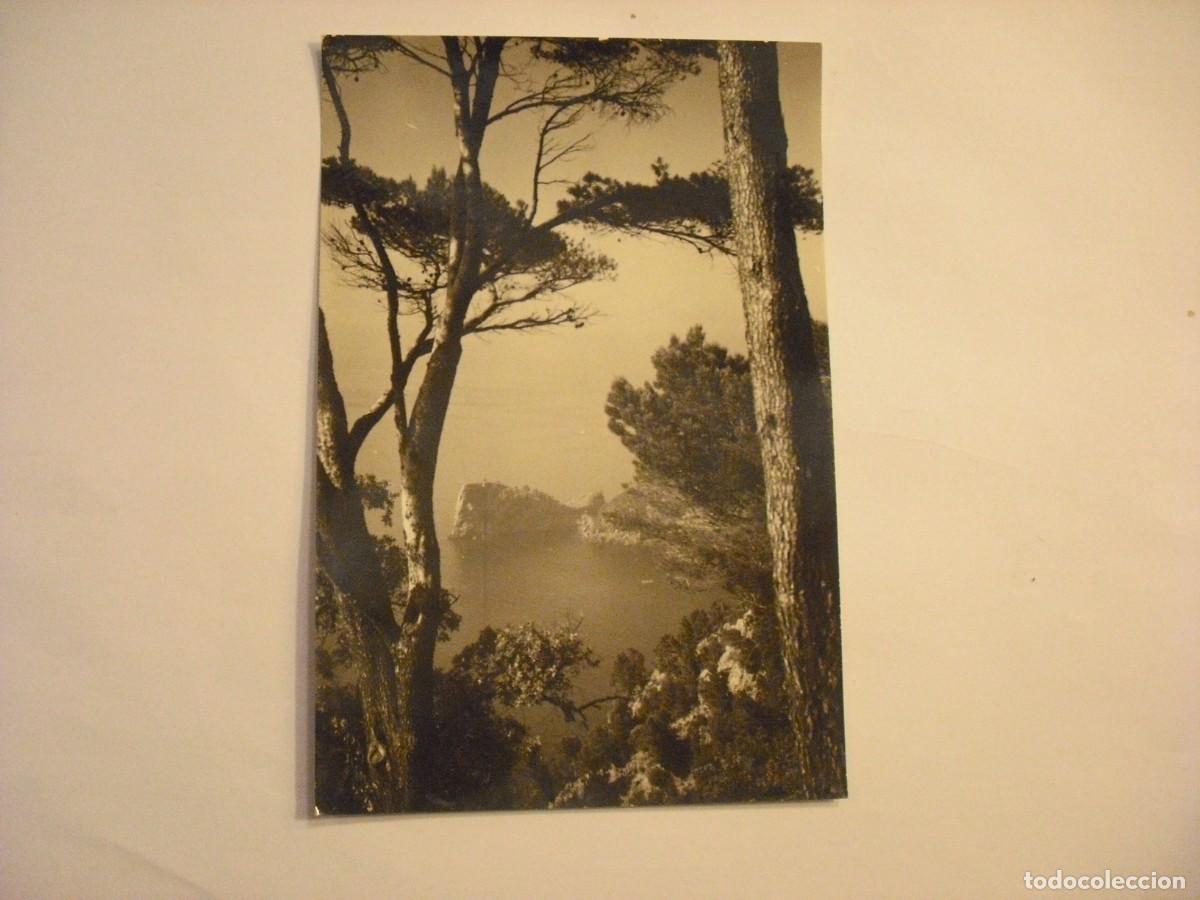 Postales: MALLORCA , MIRAMAR LA FORADADA , FOTO TRUYOL , CIRCULADA