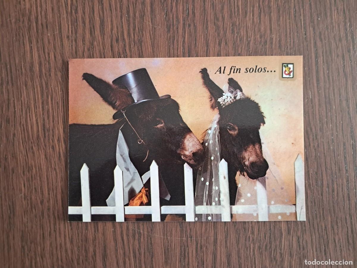 Postales: postal de Espa&ntilde;a, burros, al fin solos, animales c&oacute;micos n&ordm; 22. Mallorca. escudo de oro.
