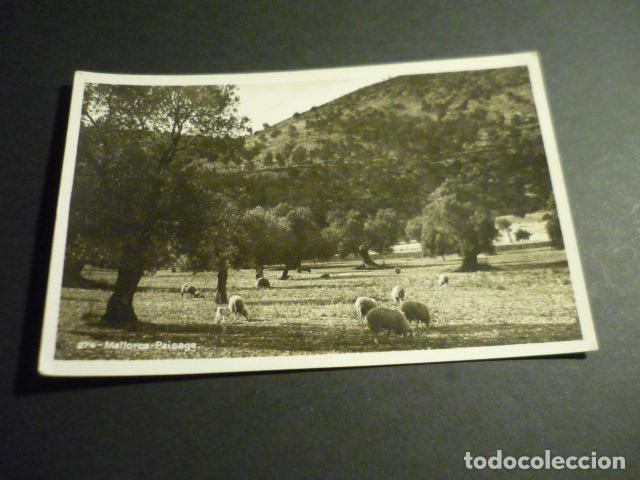 Postales: PALMA DE MALLORCA PAISAJE