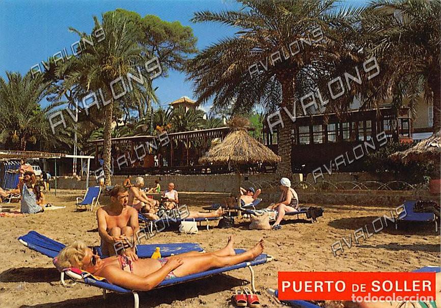 Postales: Puerto de S&oacute;ller con el tranv&iacute;a de fondo (Mallorca) - Sin Circular - 1984
