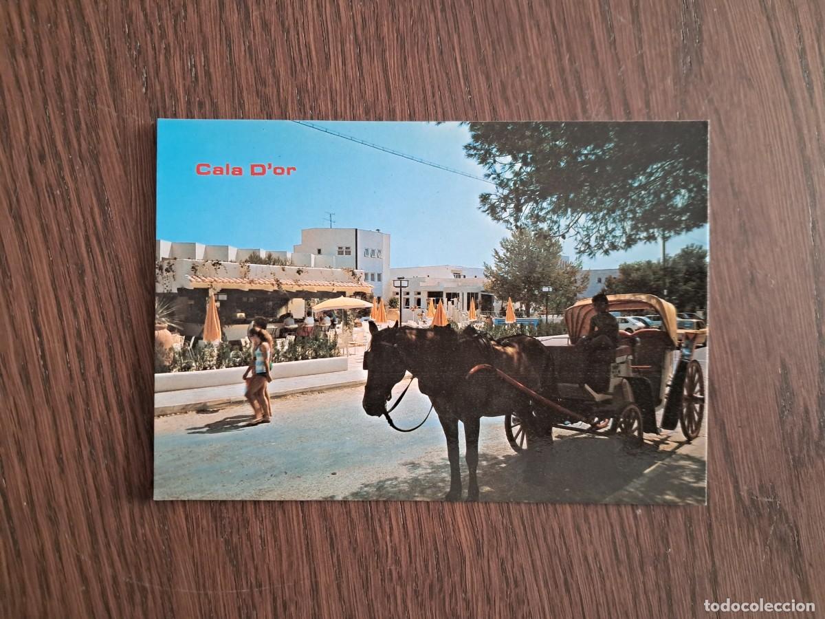 Postales: postal de Espa&ntilde;a, coche de caballos para transporte tur&iacute;stico, Cala D'Or, Mallorca, a&ntilde;os 80.