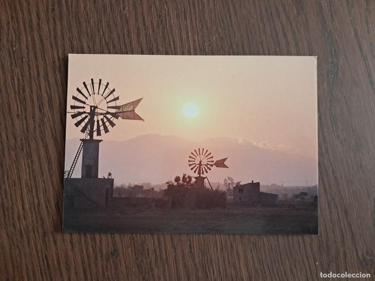 Postales: postal de Espa&ntilde;a, molinos de viento y puesta de sol en Mallorca, a&ntilde;o 1981.