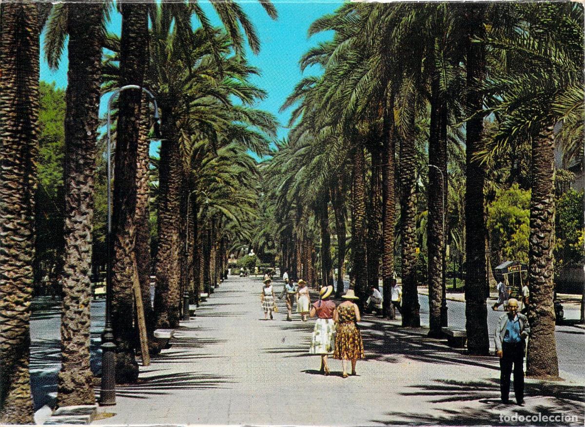 Postales: Postal de Palma de Mallorca, Paseo de Sagrera
