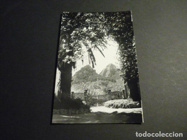 Postales: MALLORCA JARDINES DE ALFABIA DETALLE