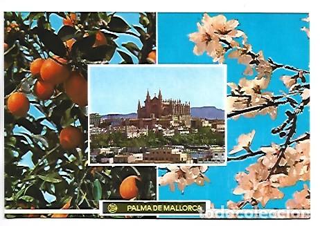 Postales: NARANJOS Y FLOR DE ALMENDRO.- PALMA / MALLORCA