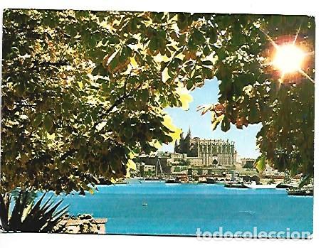 Postales: LA CATEDRAL.- PALMA / MALLORCA