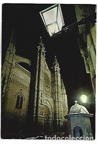 Postales: LA CATEDRAL.- PALMA / MALLORCA