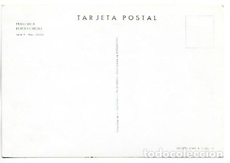 Postales: PORTO CRISTO / MALLORCA - Foto 2