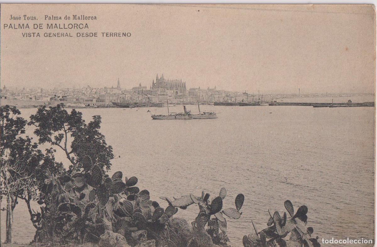 Postales: PALMA DE MALLORCA, VISTA GENERAL DESDE TERRENO - JOSE TOUS - S/C