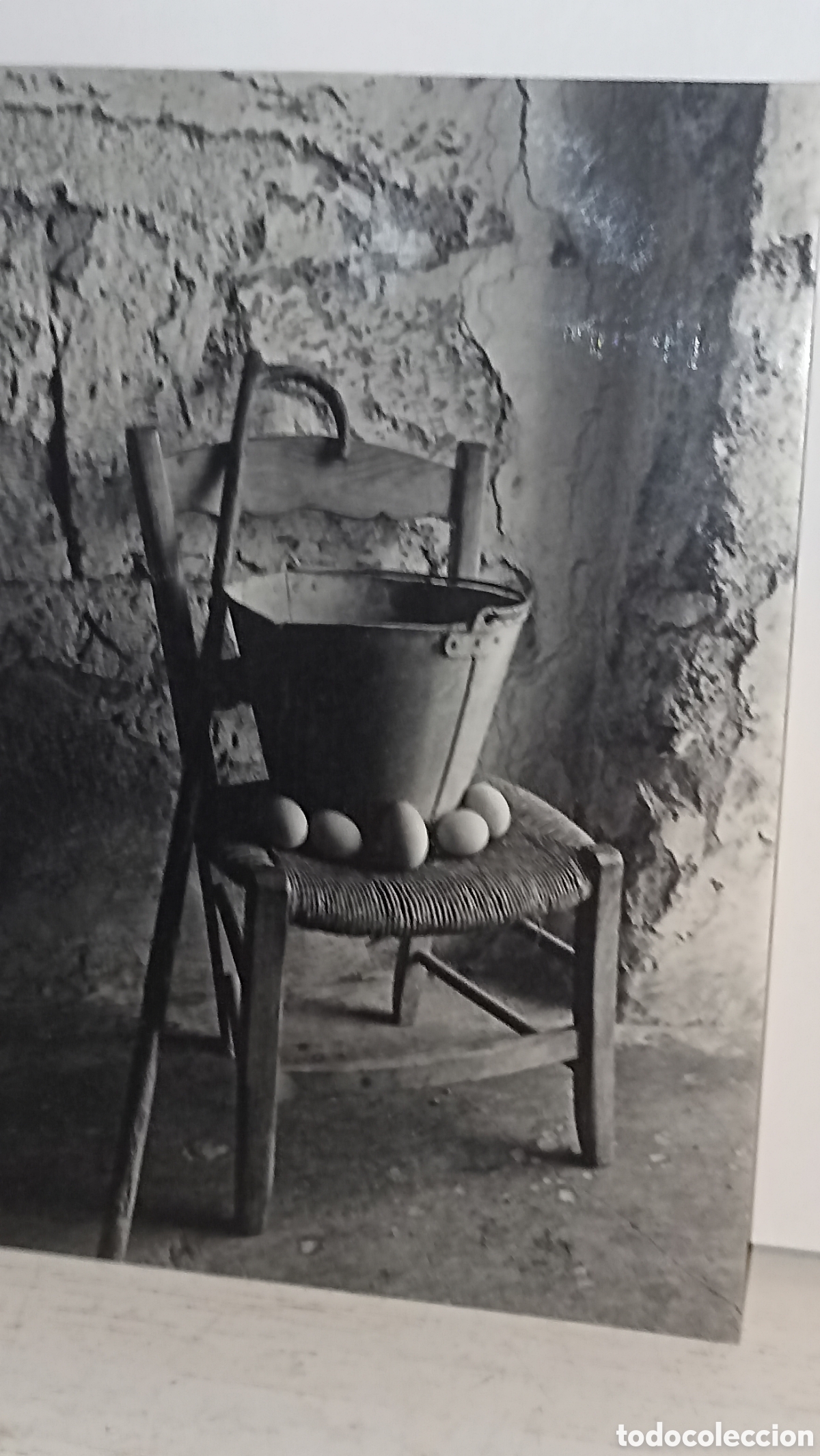 Postales: Mint im&aacute;genes de Mallorca fotograf&iacute;a Tom&aacute;s Amor&oacute;s