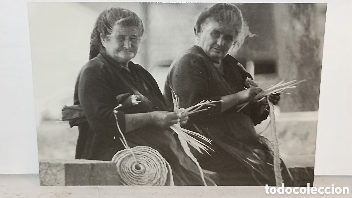 Postales: Mint im&aacute;genes Mallorca fotograf&iacute;a Tom&aacute;s Amor&oacute;s