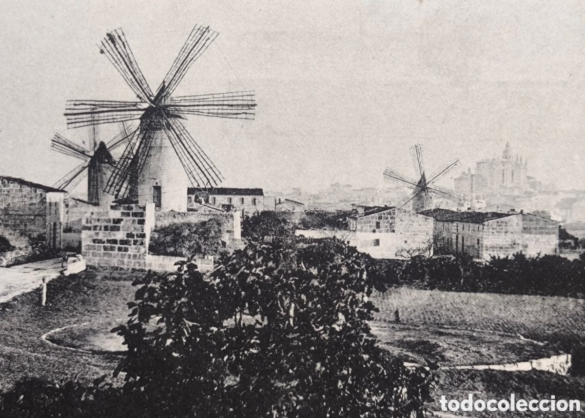 Postales: PALMA MOL&Iacute; ES JONQUET POSTAL FOTOTIPIA ERROR DE EDICI&Oacute;N BALEARS C. 1910