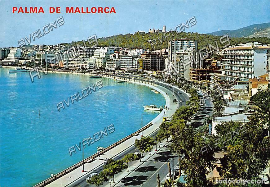 Postales: Paseo Mar&iacute;timo de (Palma de Mallorca) - Sin Circular - a&ntilde;os 70