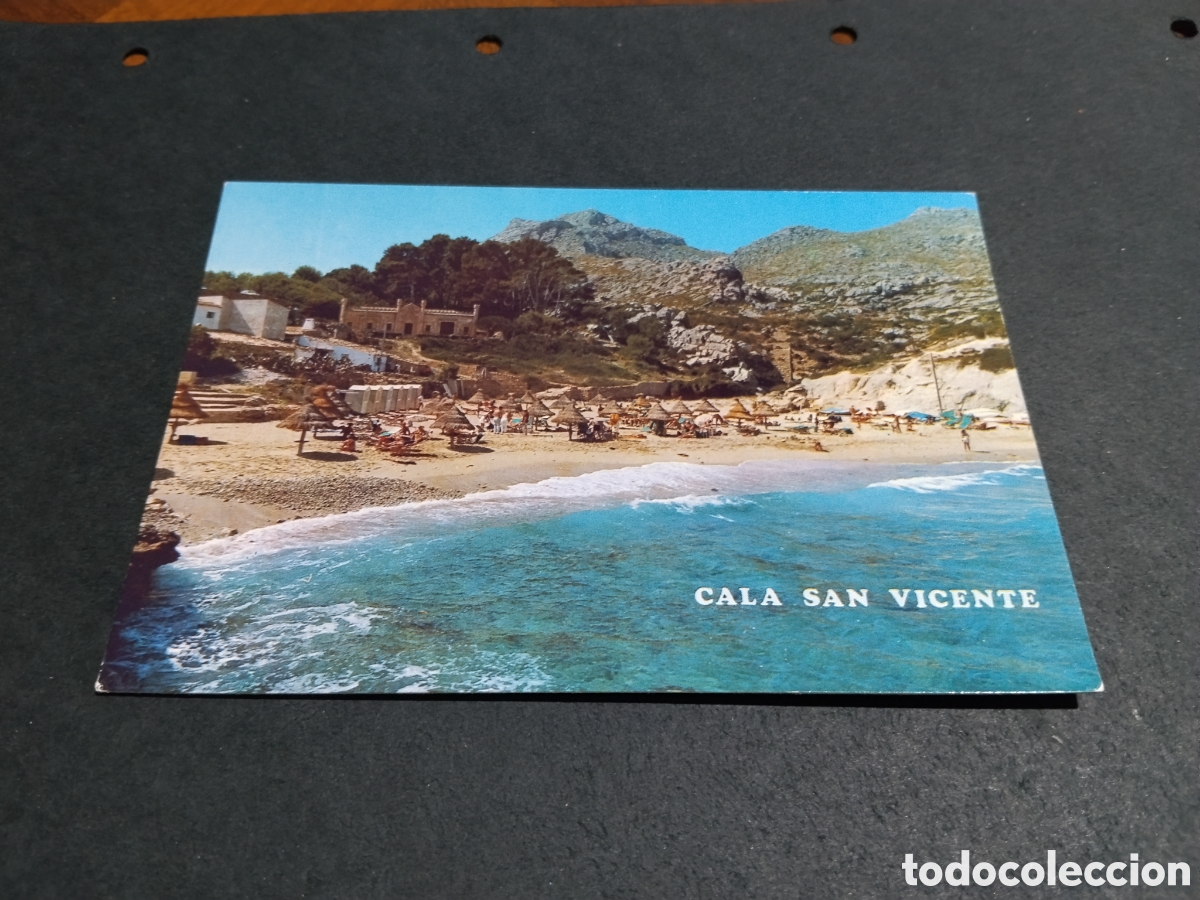 Postales: Postal Cala San Vicente, Mallorca