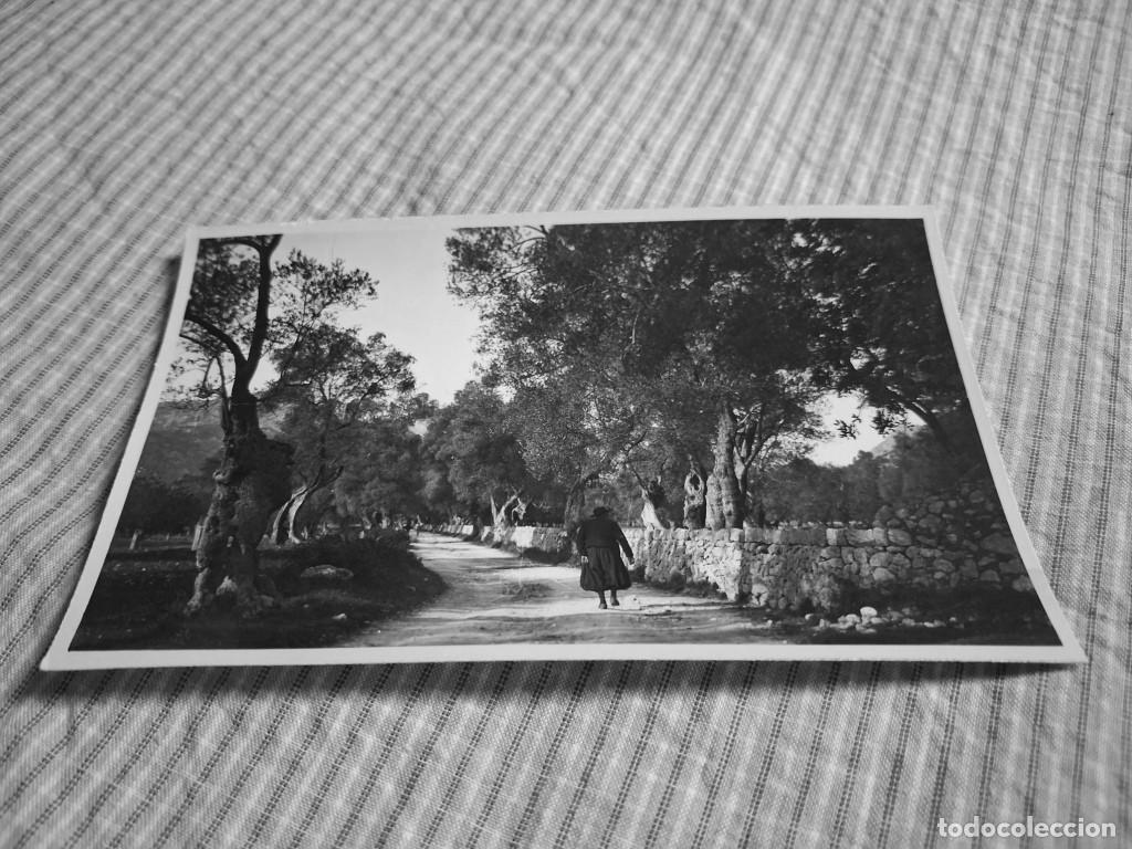 Postales: Postal antigua Mallorca. Pollensa. Paisaje. Bestard