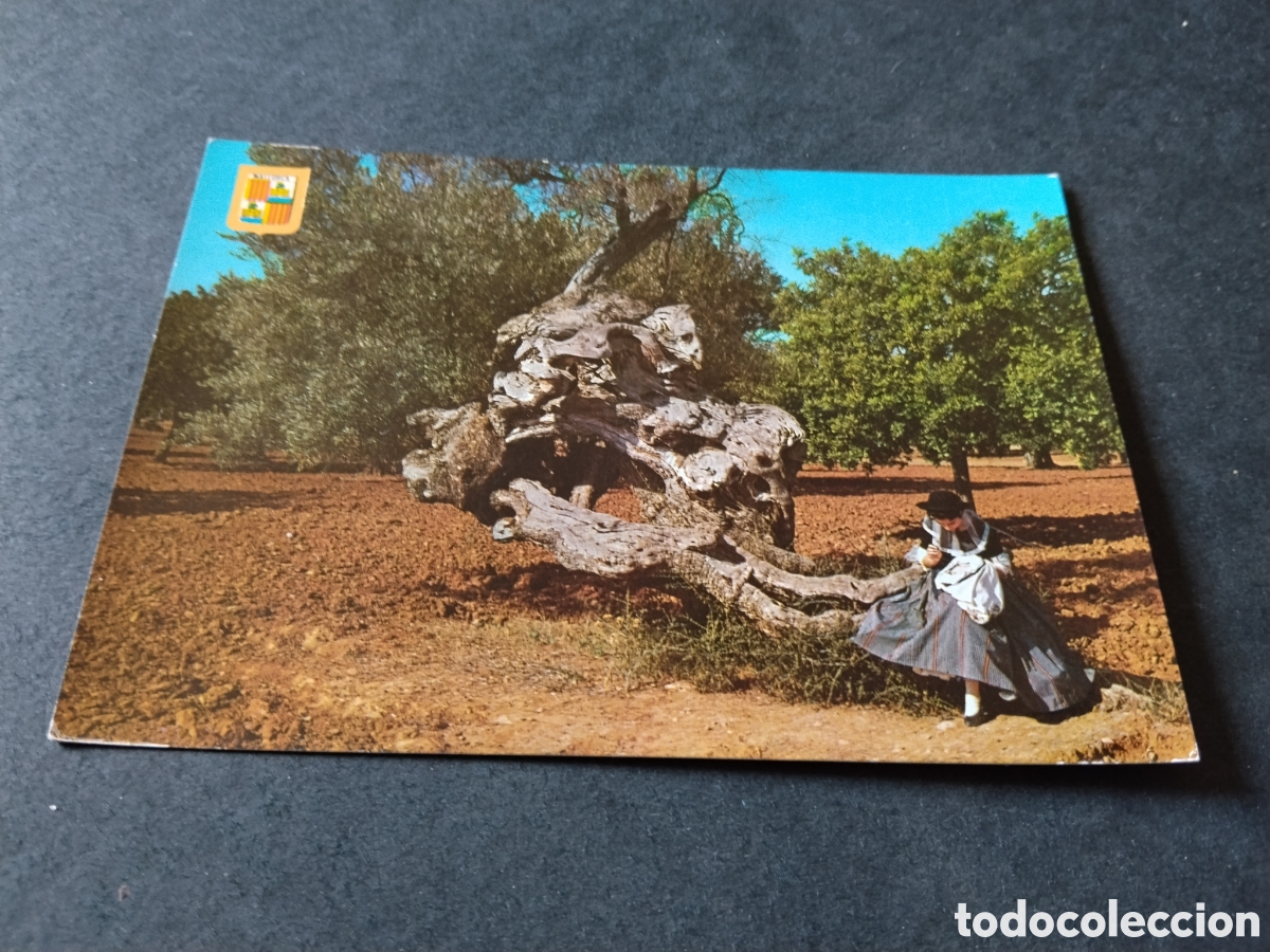 Postales: Postal Mallorca,olivo milenario y mallorquina