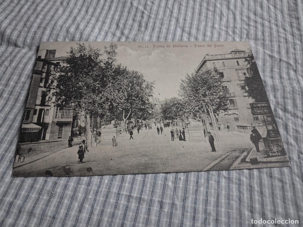 Postales: Postal antigua Mallorca. Palma. Paseo del Borne. A.M. 14.