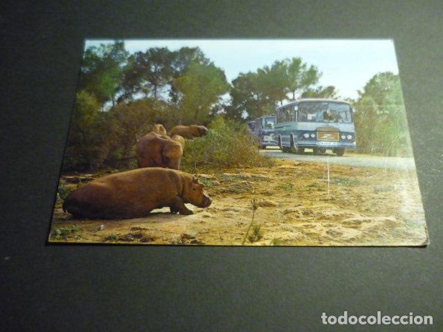 Postales: SAFARI RUHE MALLORCA TARJETA POSTAL