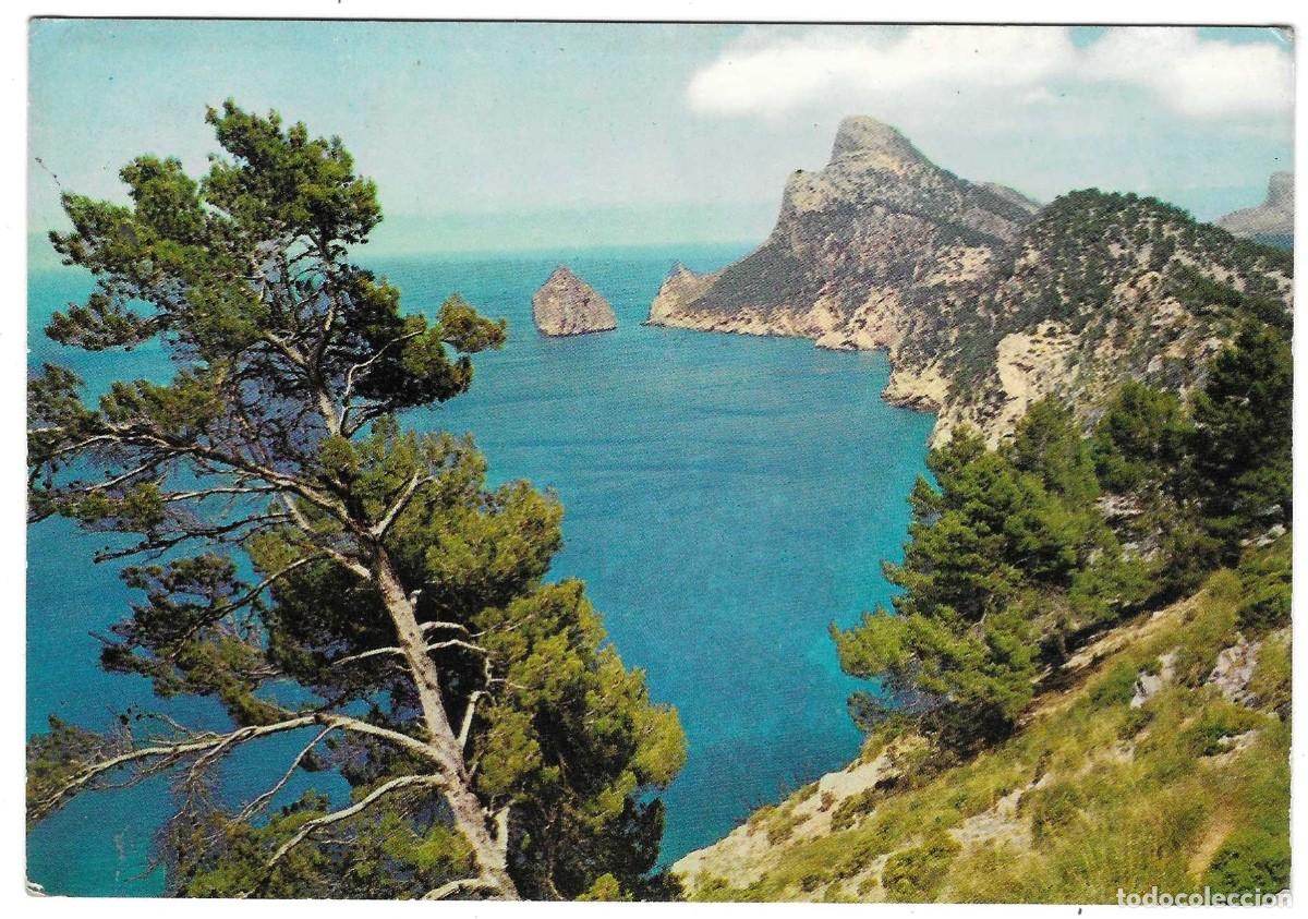 Cartes Postales: Postal Mallorca. Formentor. Detalle y Es Colomer. ref. 7-mallorca19