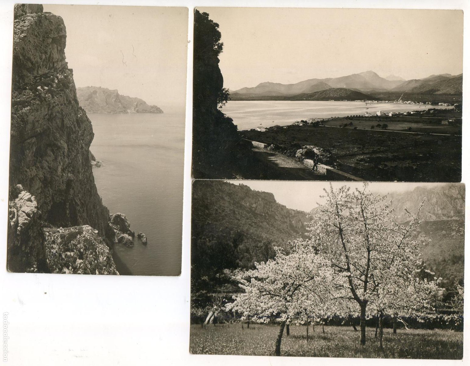 Postcards: Pollensa, Mallorca, tres postales fotogr&aacute;ficas Colecci&oacute;n Bestard