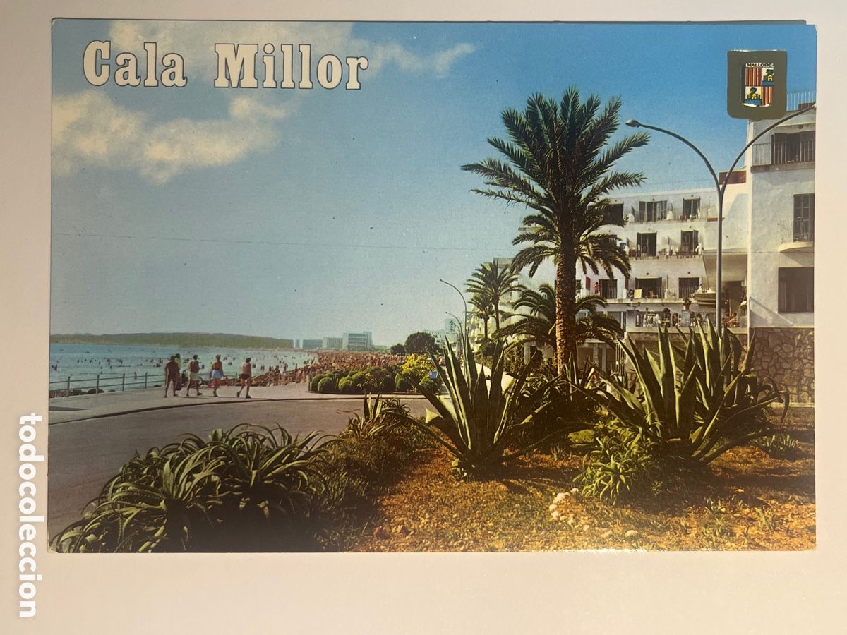 Postales: POSTAL. Cala Millor. Mallorca.