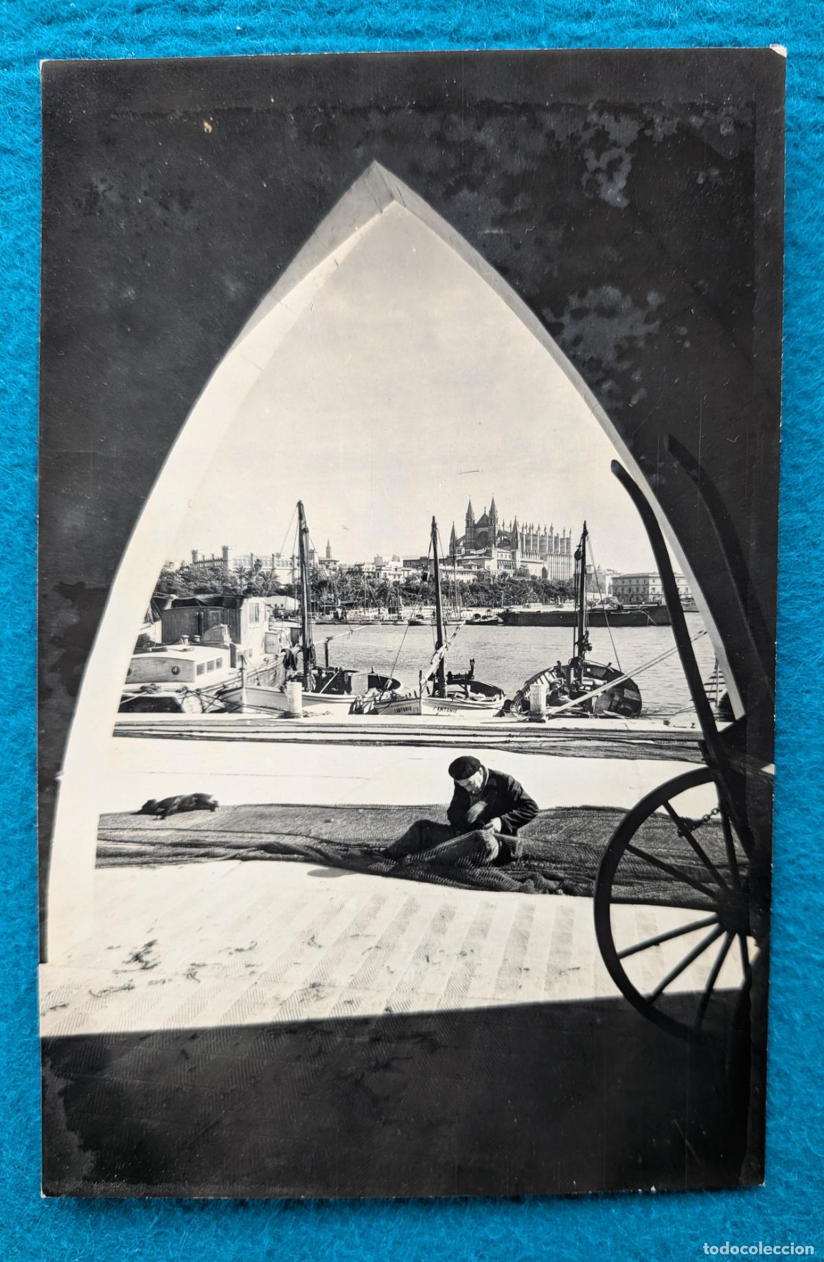 Postkarten: RW POSTAL MALLORCA PALMA LA CATEDRAL DESDE MUELLE DE PESCADORES P2070