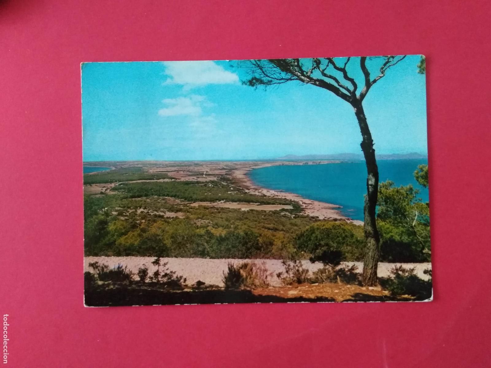 Postales: ANTIGUA TARJETA POSTAL , BALEARES ILLES BALEARS , FORMENTERA