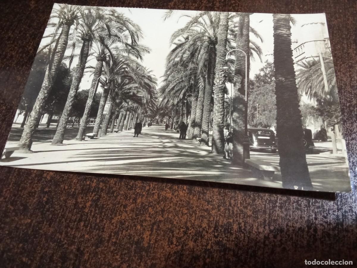Postales: Palma de Mallorca.Paseo de Sagrera.
