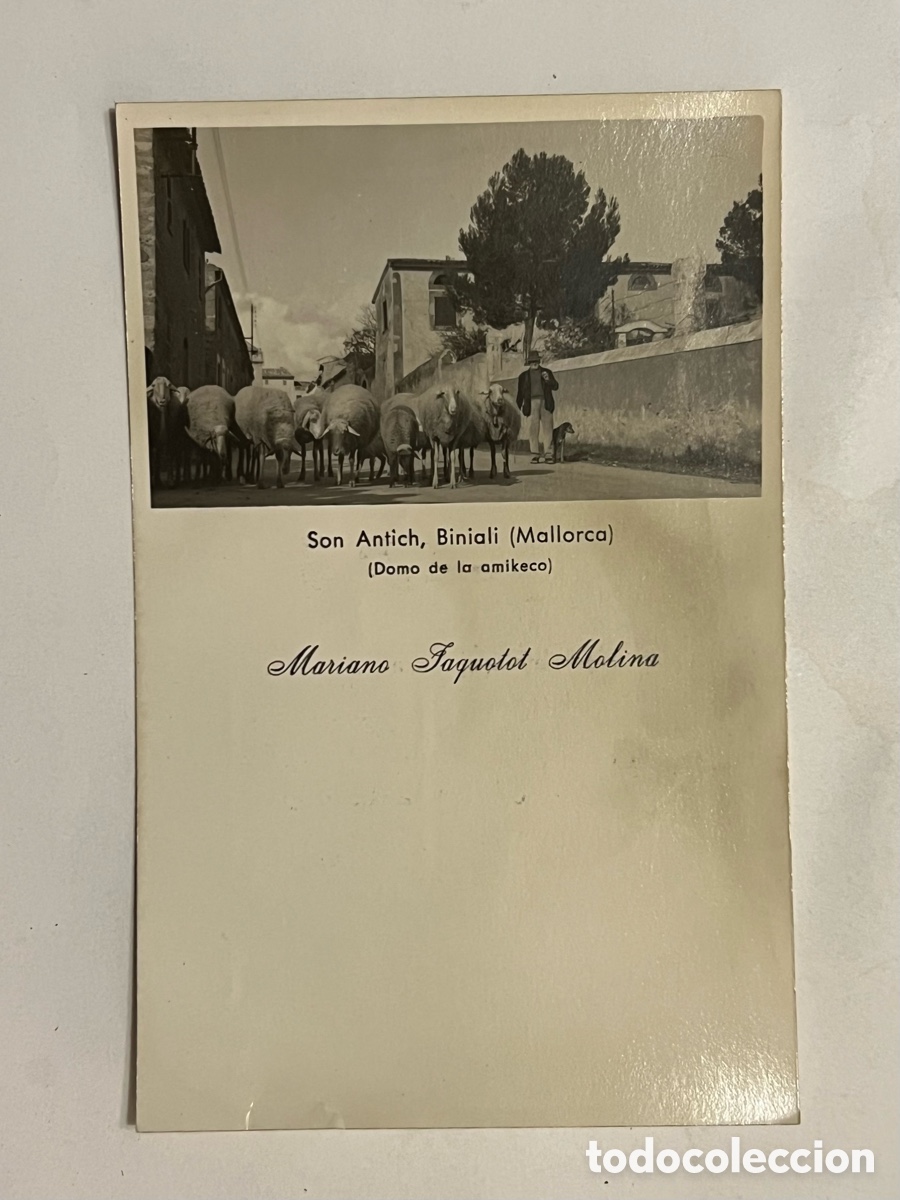 Postales: Son Antich, Biniali (Mallorca) Domo de la amikeco Postal Mariano Jaquotot Molina (a.1965) c&iacute;rculada