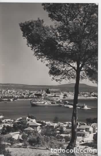 Postales: BALEARES SIN ESCRIBIR MALLORCA PALMA VISTA