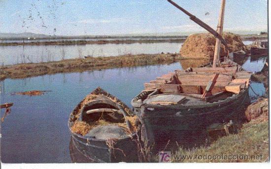 Postales: Valencia Canal albufera - Foto 1
