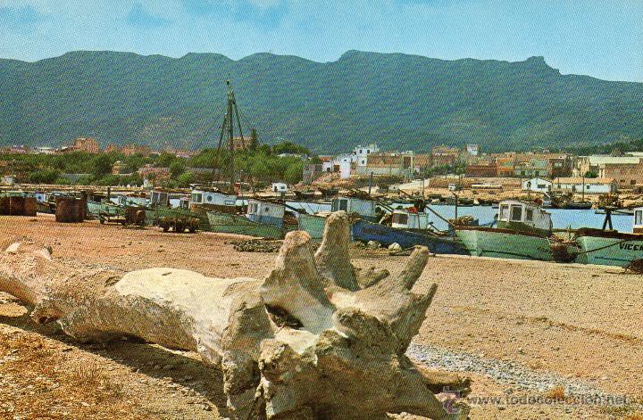 Postales: BARCO PESQUEROS - Foto 1