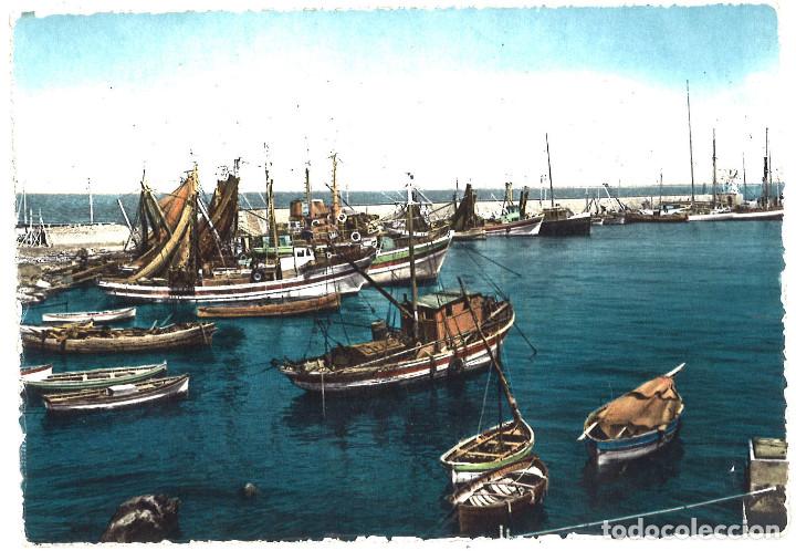 Postales: Barcos de pesca. Italia - Foto 1
