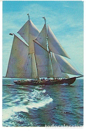 Postales: POSTAL, BARCO - Foto 1