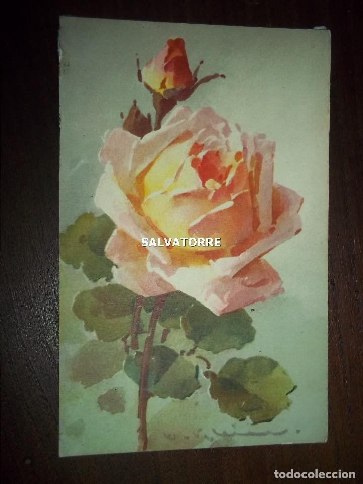 Postales: POSTAL STZF. SUIZA. ROSA Y CAPULLO - Foto 1