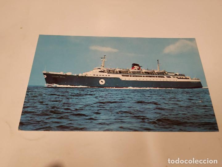 Postales: POSTAL LINEE CANGURO - Foto 1