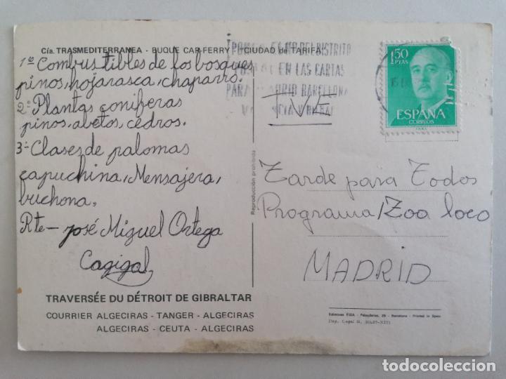 Postales: POSTAL COMPA&Ntilde;IA TRANSMEDITERRANEA - BUQUE, CIUDAD DE TARIFA - Foto 2