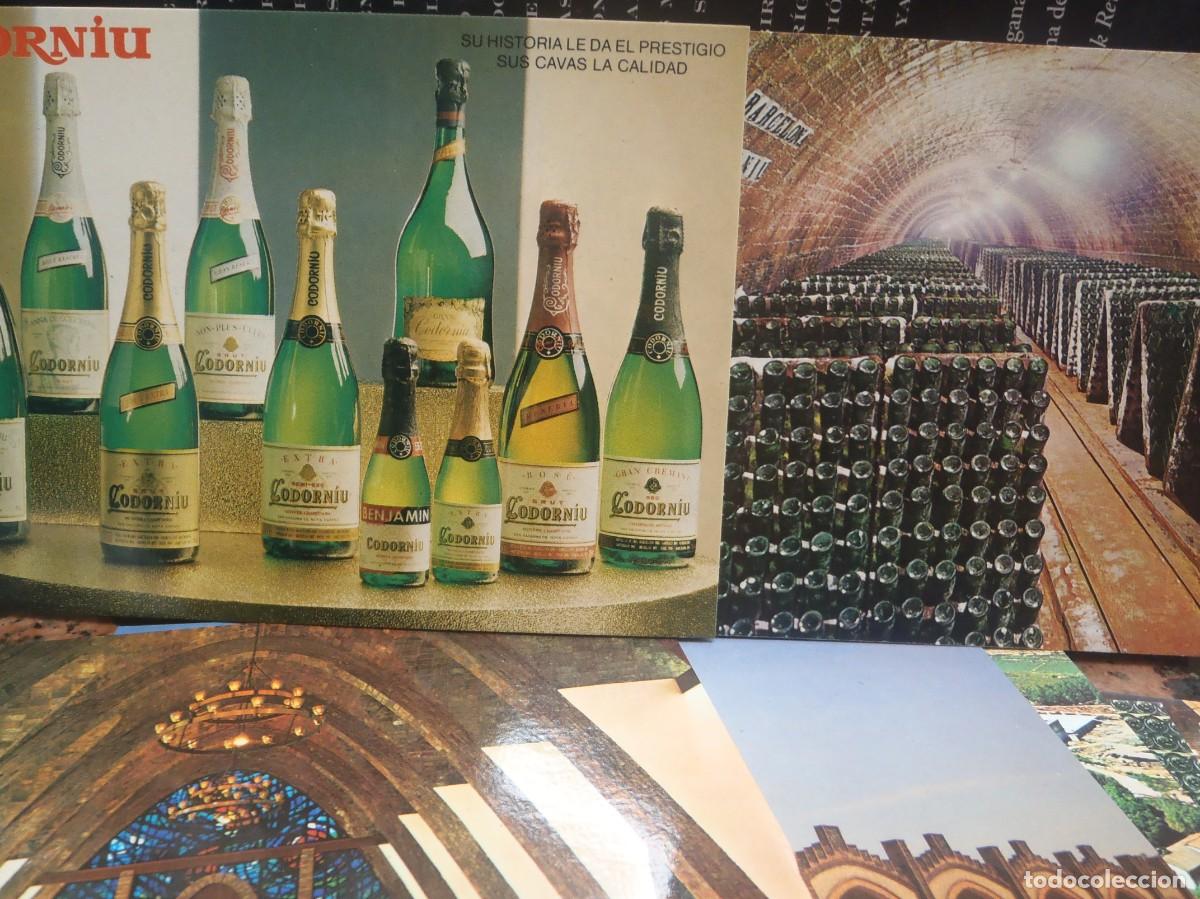 Postales: CODORNIU - LOTE DE 7 POSTALES - Foto 1