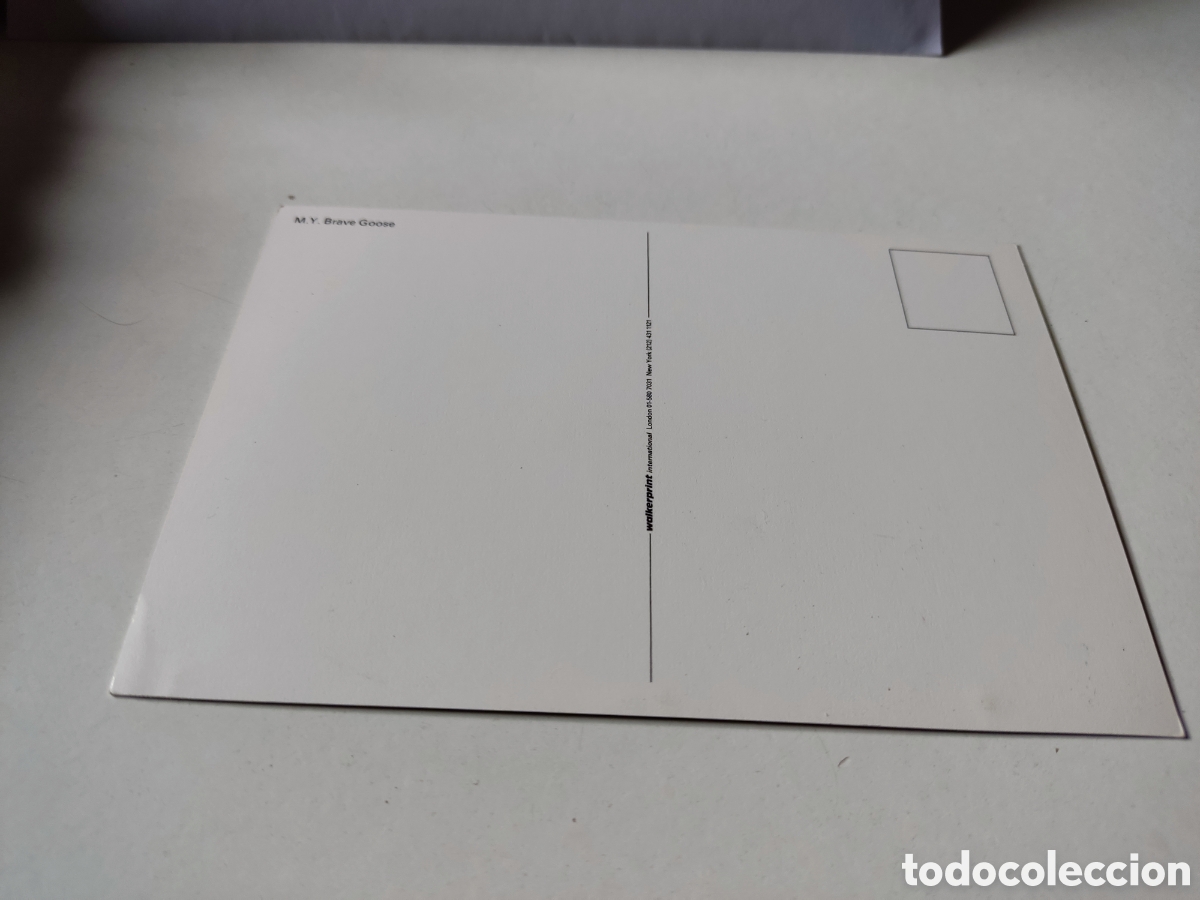 Postales: Postal Brave Goose - Foto 2