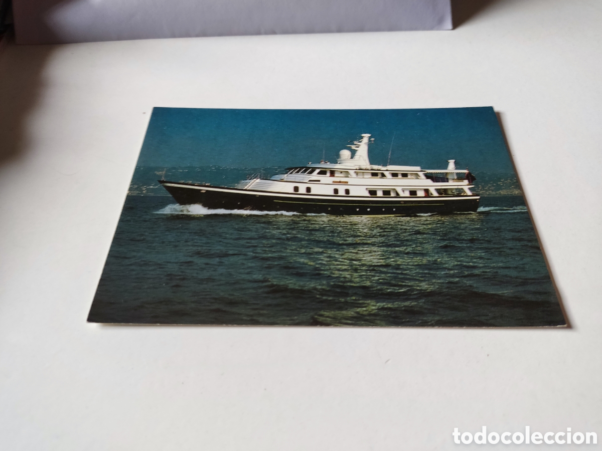 Postales: Postal Brave Goose - Foto 1