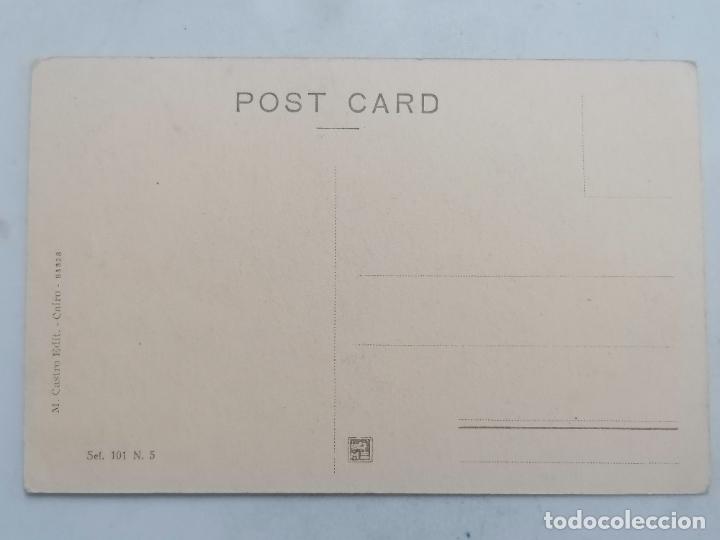 Postales: POSTAL FELLOKAS EN EL RIO NILO, EL CAIRO - Foto 2