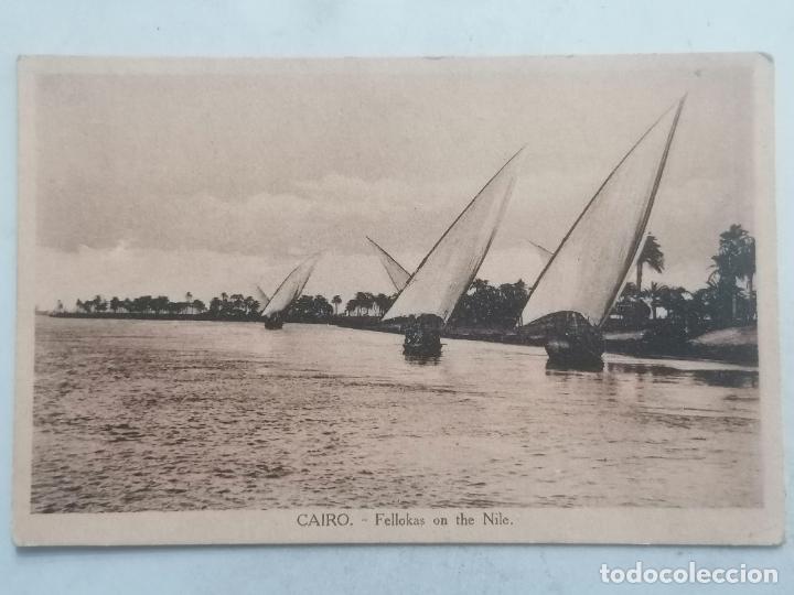 Postales: POSTAL FELLOKAS EN EL RIO NILO, EL CAIRO - Foto 1