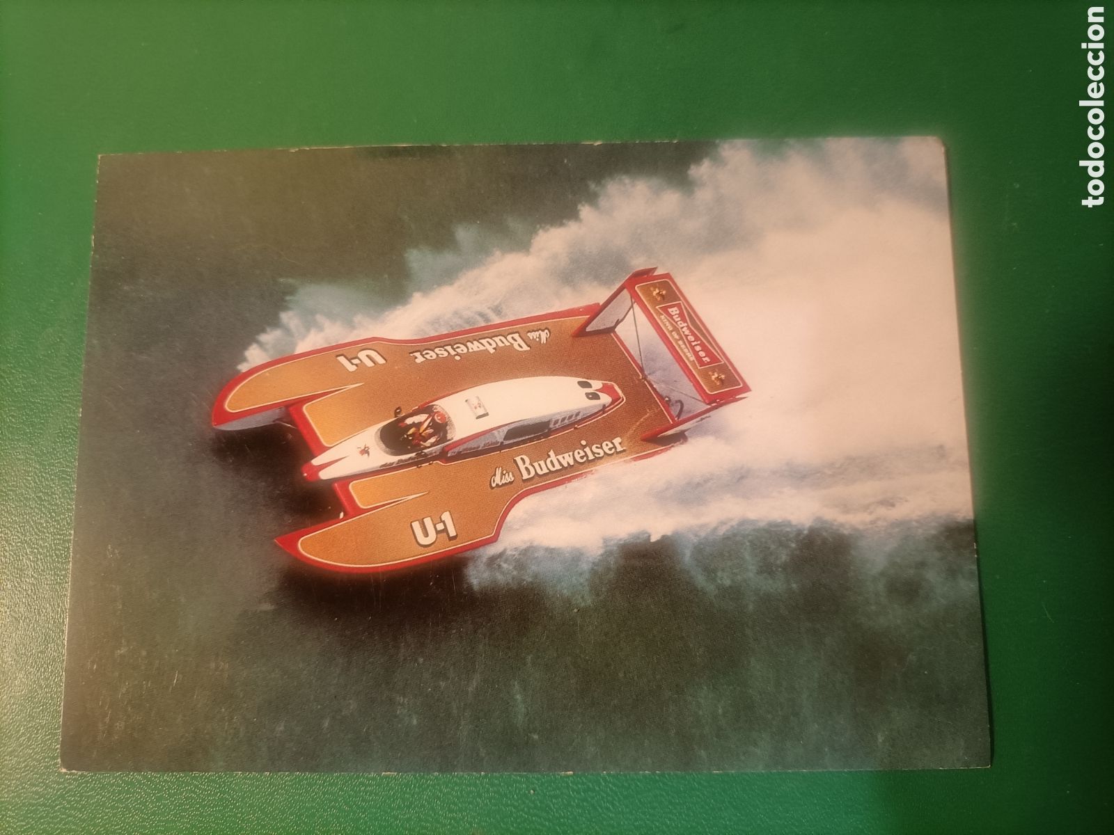 Postales: Tarjeta postal miss budweiser hidroplane - Foto 1