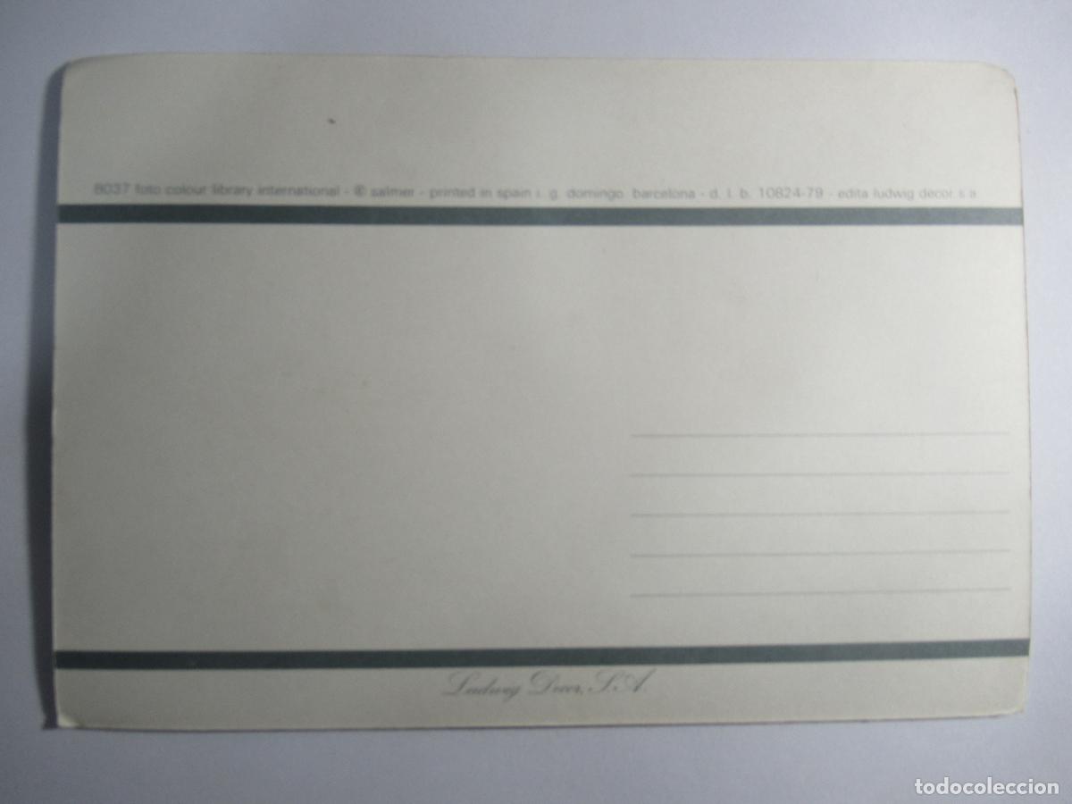 Postales: Postal sin identificar - 17 x 11,5 cm. - S/C - Foto 2
