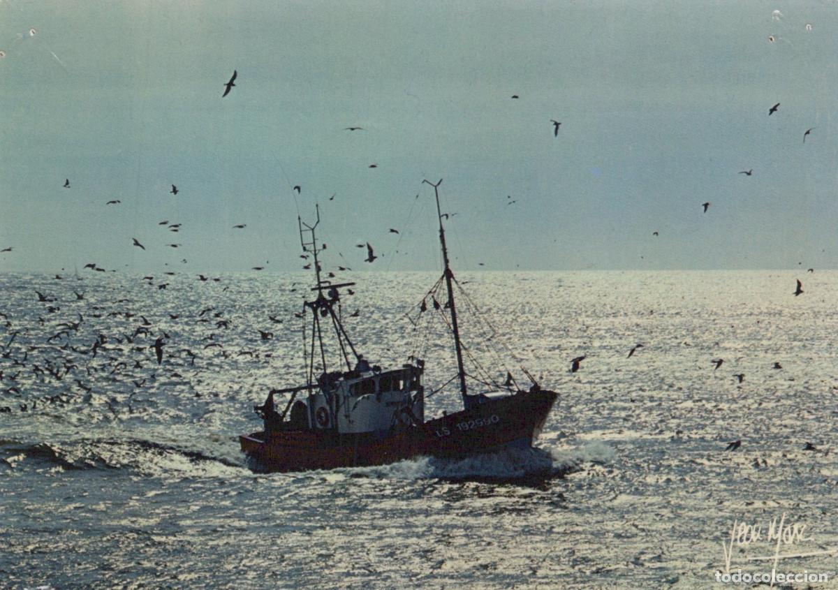 Postales: France La Barre de Monts Bateau de P&ecirc;che Mer Oiseaux Un Unposted *YAB139