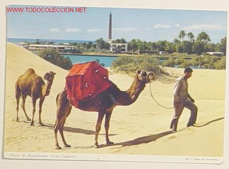 Postales: PLAYA DE MASPALOMAS - GRAN CANARIAS . Circulada a&ntilde;o 70 .