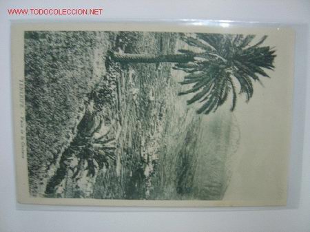 Postales: TENERIFE Valle de la Orotava - Foto 1